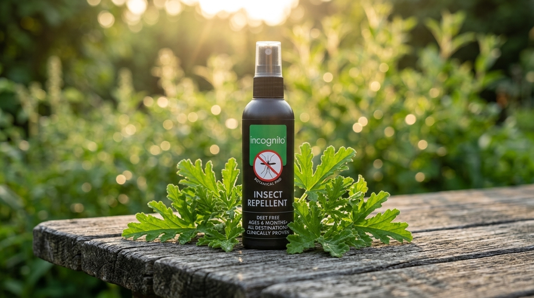 incognito® DEET-free insect repellent spray with botanical PMD (Citrepel®) standing on a wooden garden table at golden hour, surrounded by citronella leaves